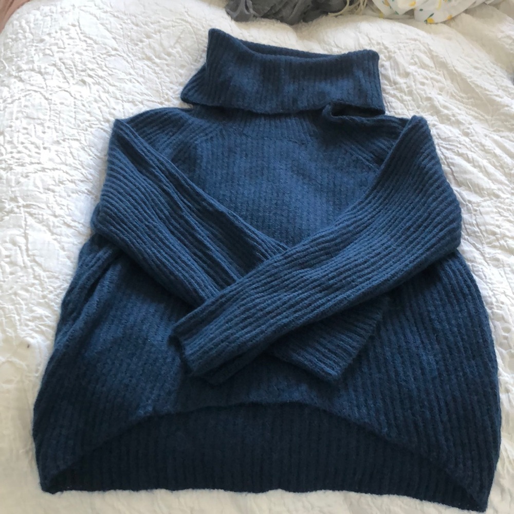 Jewel Blue Point Sur Jcrew Wool Turtleneck Sweater